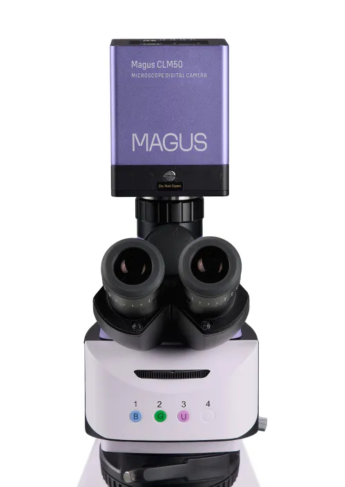 imagen Microscopio digital de fluorescencia MAGUS Lum D460L,  11