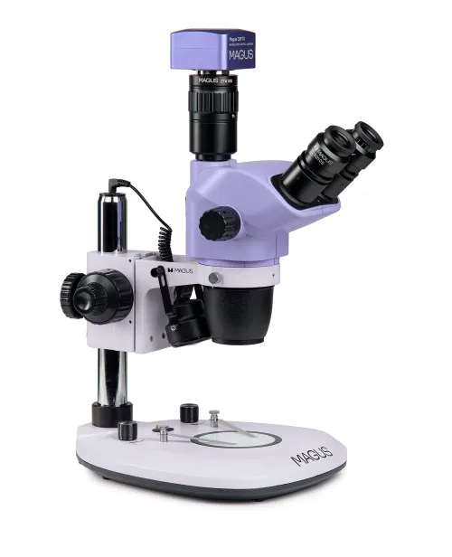 fotografía Estereomicroscopio digital MAGUS Stereo D8T PLUS,  3