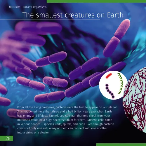 gráfico Libro enciclopédico «Space. Microworld.» (Espacio y microcosmos), edición de dos volúmenes. Tapa dura,  9