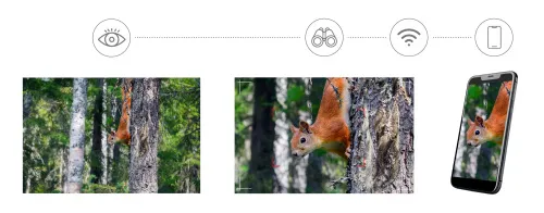 imagen Fotoprismáticos digitales Levenhuk Kelvin Snap ED 8x42,  8