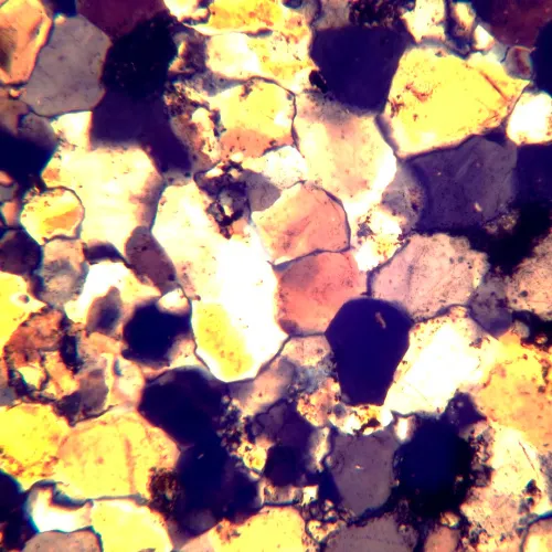 foto Microscopio polarizador digital MAGUS Pol D800 LCD,  24