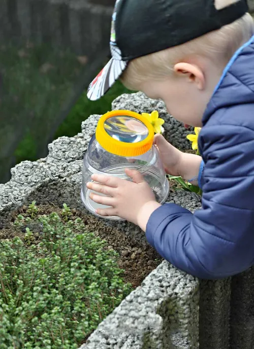 imagen Frasco para observar insectos Bresser National Geographic 5x XXL,  6