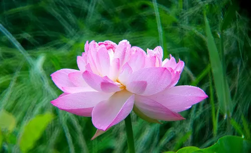 fotografía Fototelescopio Levenhuk Kelvin MAK80 AZ,  18