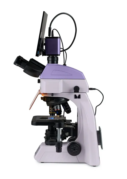 gráfico Microscopio digital de fluorescencia MAGUS Lum D450L LCD,  4