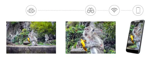 imagen Fotoprismáticos digitales Levenhuk Kelvin Snap ED 8x42,  9