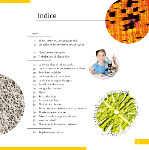 gráfico El mundo invisible. Libro educativo,  2
