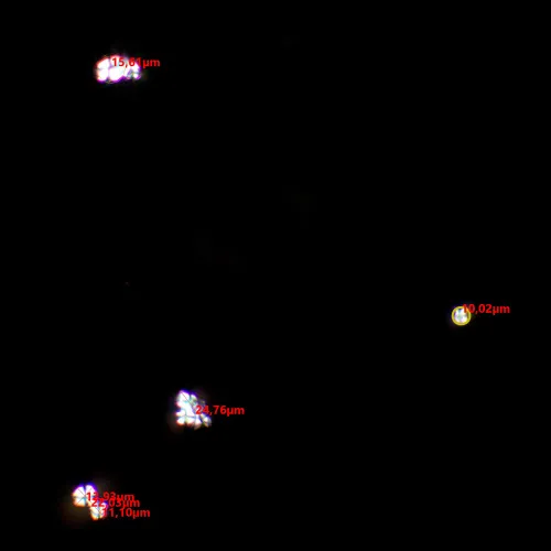 foto Kit de polarizador/analizador MAGUS SPD3,  8