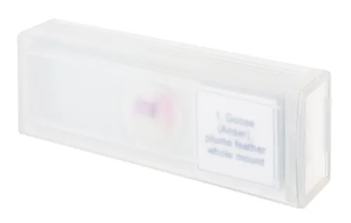 foto Set de preparaciones para microscopio Levenhuk Discovery Prof DPS 5. «Aves»,  4