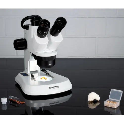 gráfico Microscopio esteresocópico Analyth STR Trino 10x - 40x Bresser,  3