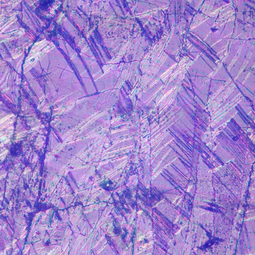 imagen Microscopio metalúrgico invertido MAGUS Metal V700 DIC,  17