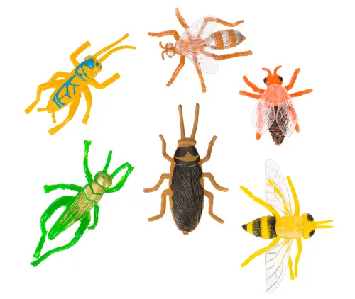 foto Kit de explorador Levenhuk Discovery Basics EK90,  14