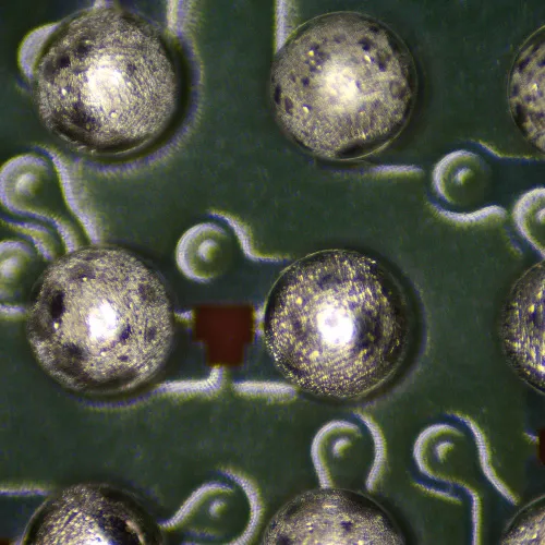 fotografía Estereomicroscopio MAGUS Stereo 9T,  19
