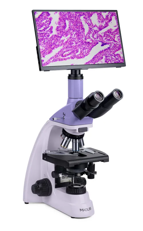 gráfico Microscopio biológico digital MAGUS Bio D250T LCD,  4