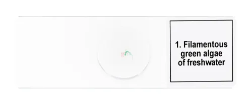 imagen Set de preparaciones para microscopio Levenhuk Discovery Prof DPS 5. «Biología»,  7