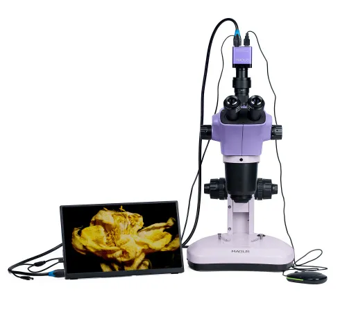 gráfico Estereomicroscopio digital MAGUS Stereo D9T LCD,  6