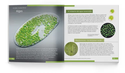 gráfico Invisible World (el mundo invisible). El libro educativo. Tapa dura,  3