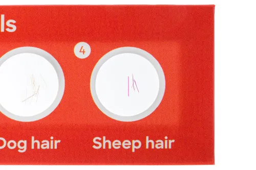 imagen Set de 12 preparaciones Levenhuk Discovery Fauna,  4