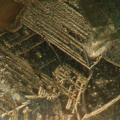 imagen Microscopio metalúrgico invertido digital MAGUS Metal VD700 BD LCD,  23