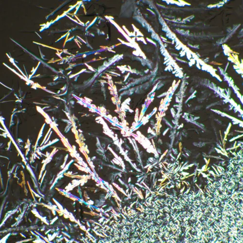 fotografía Kit de polarizador/analizador MAGUS SPD1,  6