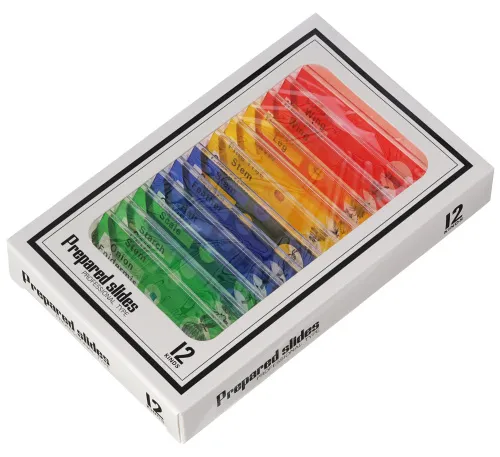 foto Microscopio digital Levenhuk Rainbow DM500 LCD,  12