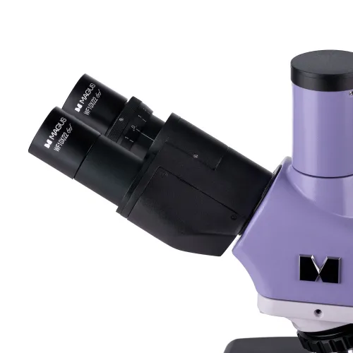fotografía Microscopio biológico MAGUS Bio 250TL,  12