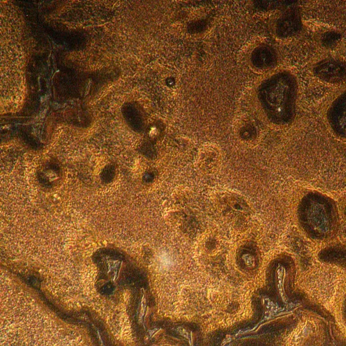 gráfico Microscopio metalúrgico invertido MAGUS Metal V790 DIC,  19
