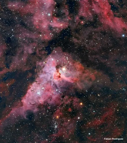 gráfico Meade LX850 12" F/8 ACF OTA,  8