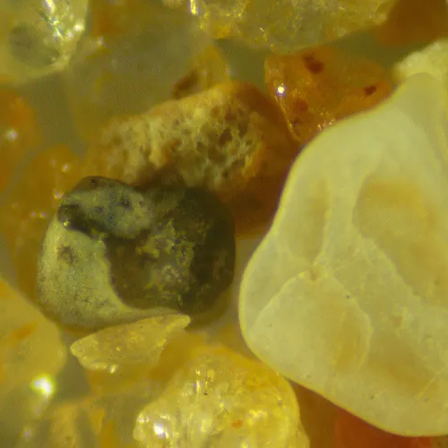 fotografía Estereomicroscopio digital MAGUS Stereo D9T,  25