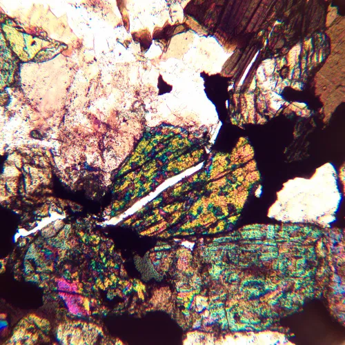 gráfico Microscopio polarizador MAGUS Pol 890,  24