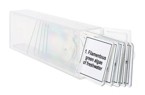 imagen Set de preparaciones para microscopio Levenhuk Discovery Prof DPS 5. «Biología»,  5