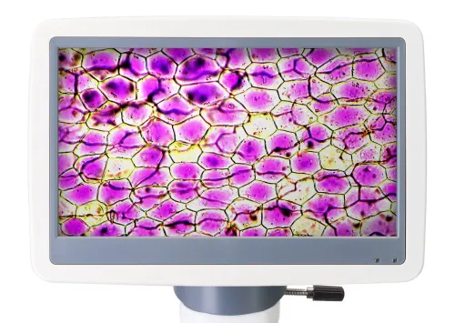 gráfico Microscopio digital Levenhuk D85L LCD,  6