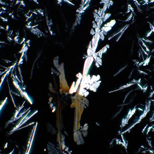 gráfico Kit de polarizador/analizador MAGUS SPD2,  5