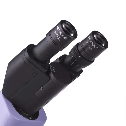 gráfico Microscopio biológico digital MAGUS Bio D230TL,  12