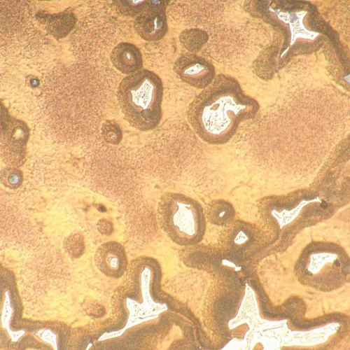 imagen Microscopio metalúrgico MAGUS Metal 650,  18