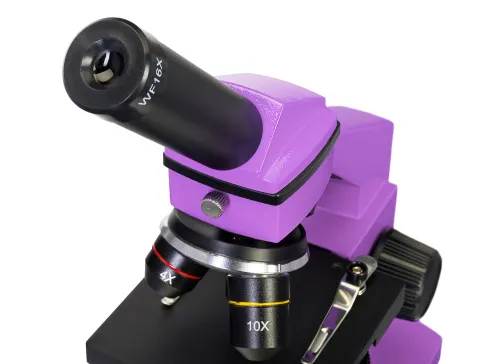 fotografía Microscopio Levenhuk Rainbow 2L PLUS,  8