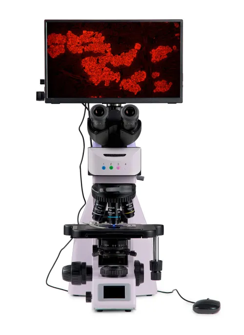 imagen Microscopio digital de fluorescencia MAGUS Lum D460L LCD,  9