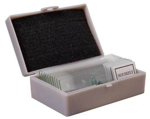 gráfico Kit de experimentos Levenhuk K50,  7