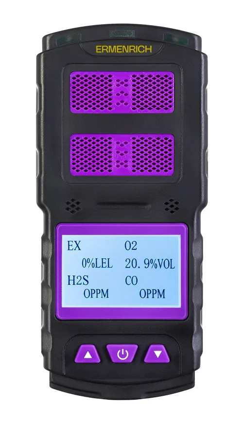 imagen Detector de gas Ermenrich NG60,  4