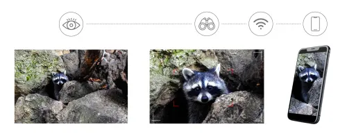 imagen Fotoprismáticos digitales Levenhuk Kelvin Snap ED 8x42,  6