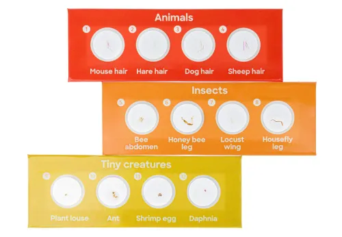 imagen Set de 12 preparaciones Levenhuk Discovery Fauna,  3