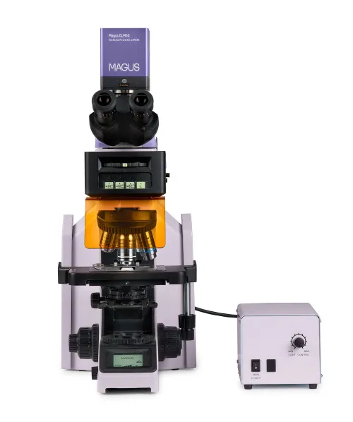 imagen Microscopio digital de fluorescencia MAGUS Lum D470L,  9